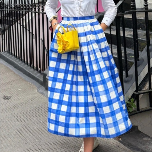 Zara Collection Blue and White Gingham Pleated A-Line Midi Skirt - Picture 5 of 5
